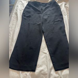 Express Wide leg dress pants. Never worn. Sz XL black